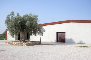 editorial,

OCCHIPINTI 
natural wine,

the-WEEKENDER Magazine,

2018