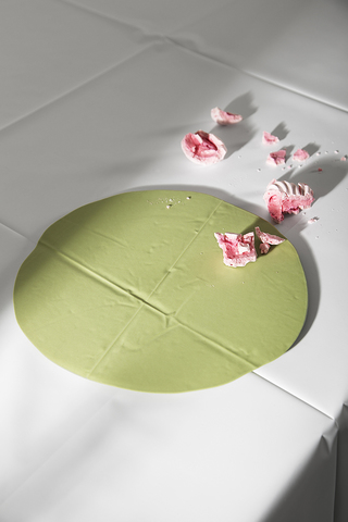 commercial,

PRIMO plate,

by CORTECCIA

2019