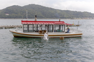 personal,

AMA DIVERS,

Japan,

2015