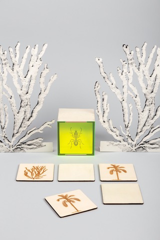 commercial,

KIDS'GARRET design

Alexander collection 